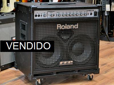 Roland D-Bass 210 (usado)